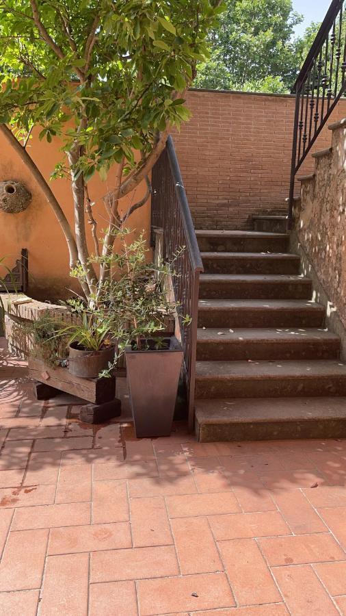 Villa Mariposa Nettuno Eksteriør bilde